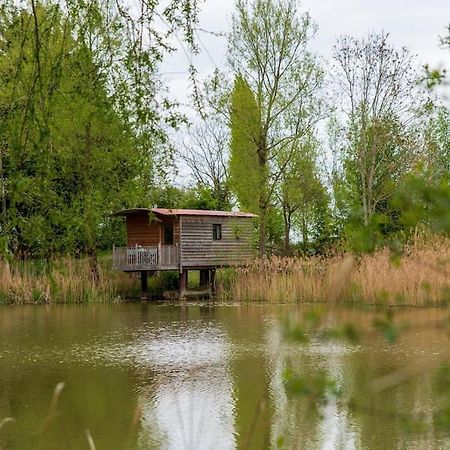 הוילה Rous Lench Lakeside Cabin On Stilts- 'Kingfisher' מראה חיצוני תמונה