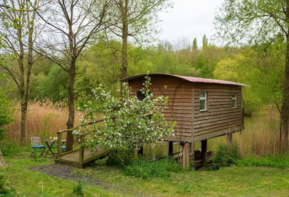 Rous Lench Lakeside Cabin On Stilts- 'Kingfisher' מראה חיצוני תמונה