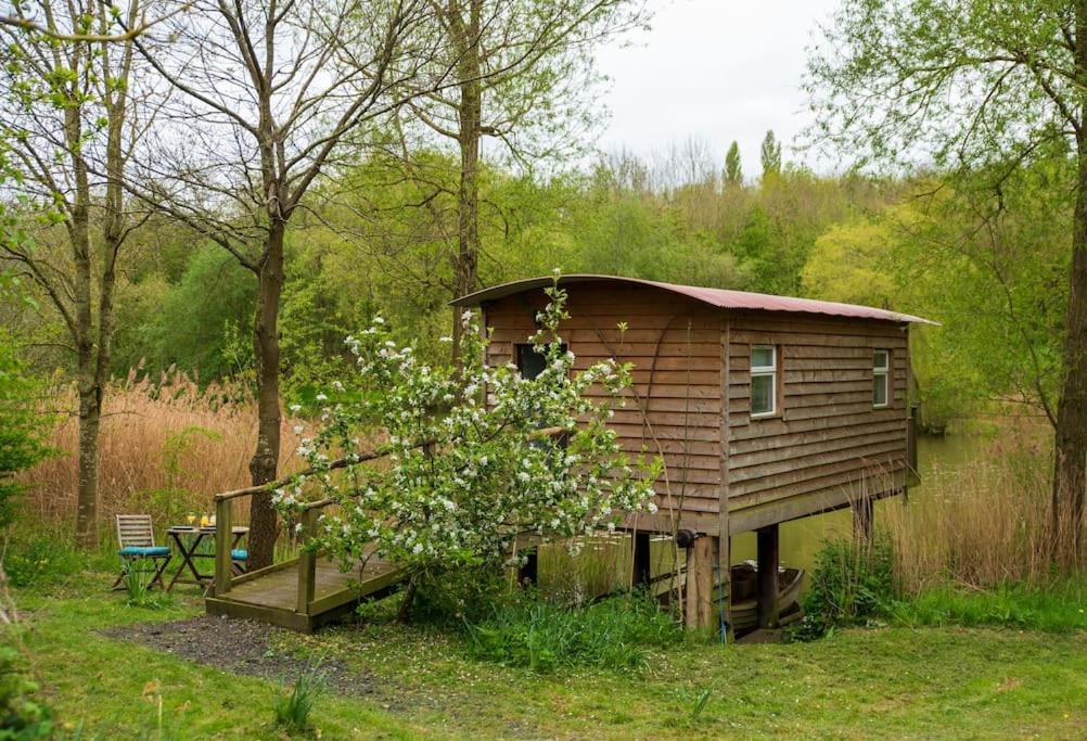 הוילה Rous Lench Lakeside Cabin On Stilts- 'Kingfisher' מראה חיצוני תמונה